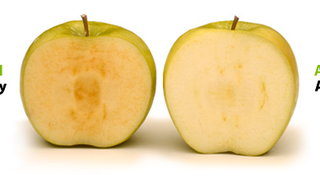 The U.S. Just Approved Its First GMO Apple, Which Doesn't Turn Brown